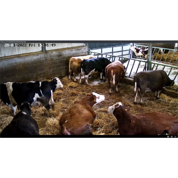HIKVision Cow Calving PTZ Camera 4MP 25 X Zoom - programmed with TP-Link 4G Router 