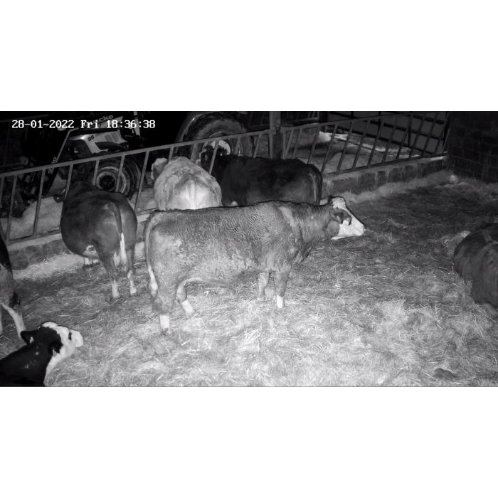 HIKVision Cow Calving PTZ Camera 4MP 25 X Zoom - programmed with TP-Link 4G Router 